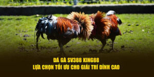 đá gà sv388 king88