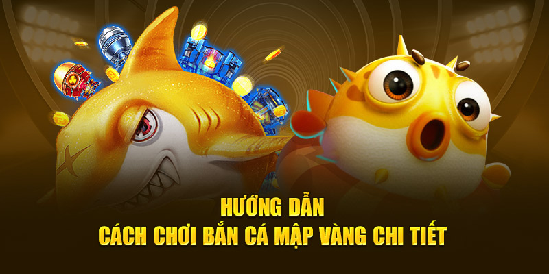 Hướng dẫn cách chơi bắn cá mập vàng chi tiết 