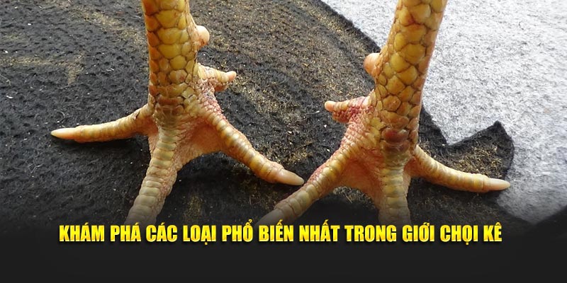 Khám phá các loại phổ biến nhất trong giới chọi kê
